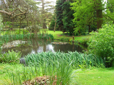 West garden pond